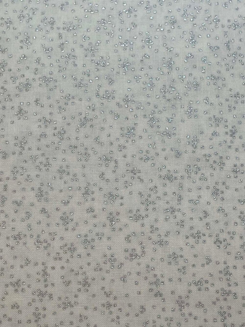 Timeless Treasures "First Frost" metallic silver.  Sold by the yard.